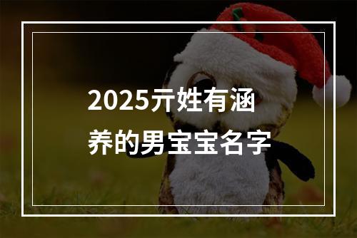 2025亓姓有涵养的男宝宝名字