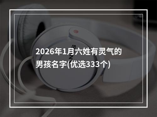 2026年1月六姓有灵气的男孩名字(优选333个)