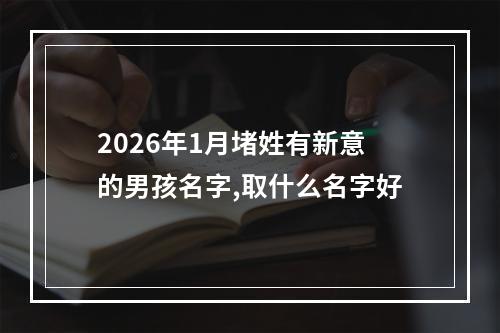 2026年1月堵姓有新意的男孩名字,取什么名字好