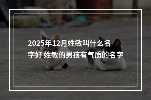 2025年12月姓敏叫什么名字好 姓敏的男孩有气质的名字