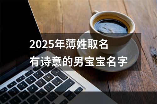 2025年薄姓取名有诗意的男宝宝名字