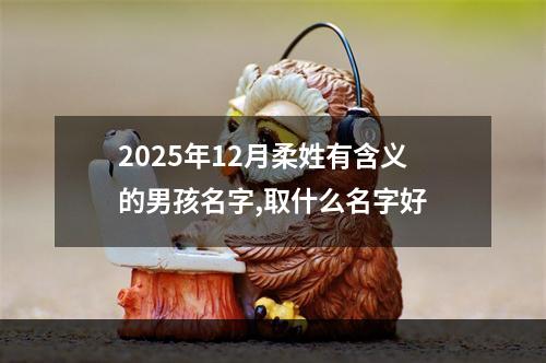 2025年12月柔姓有含义的男孩名字,取什么名字好