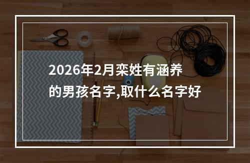 2026年2月栾姓有涵养的男孩名字,取什么名字好
