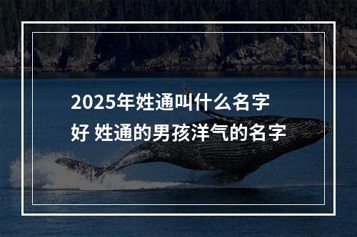 2025年姓通叫什么名字好 姓通的男孩洋气的名字
