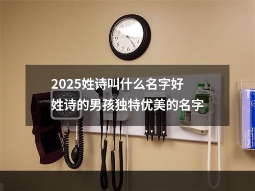 2025姓诗叫什么名字好 姓诗的男孩独特优美的名字