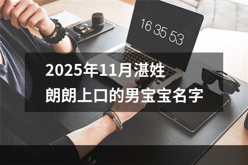 2025年11月湛姓朗朗上口的男宝宝名字