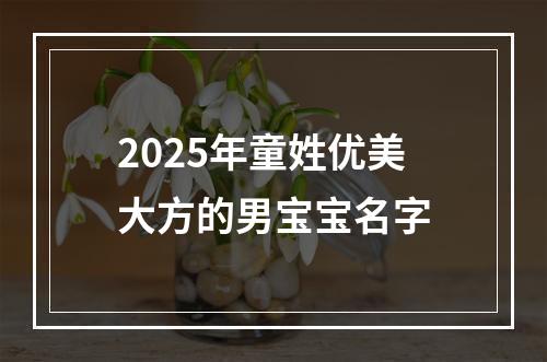 2025年童姓优美大方的男宝宝名字