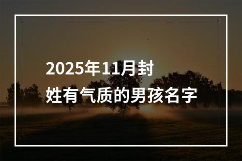 2025年11月封姓有气质的男孩名字