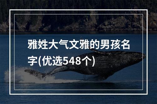 雅姓大气文雅的男孩名字(优选548个)
