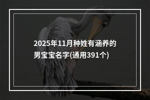2025年11月种姓有涵养的男宝宝名字(通用391个)