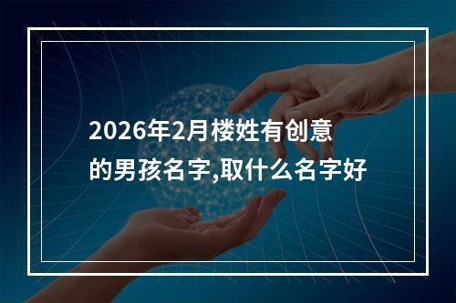 2026年2月楼姓有创意的男孩名字,取什么名字好