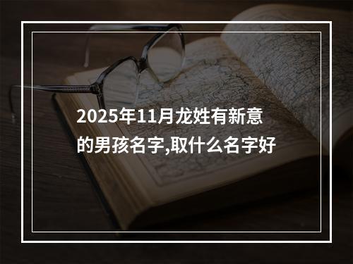 2025年11月龙姓有新意的男孩名字,取什么名字好