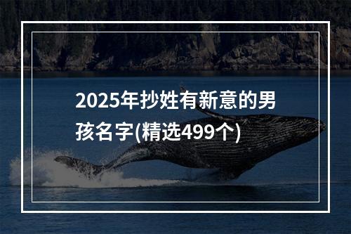 2025年抄姓有新意的男孩名字(精选499个)
