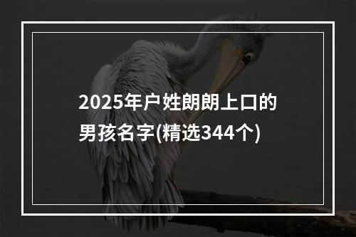 2025年户姓朗朗上口的男孩名字(精选344个)