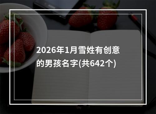 2026年1月雪姓有创意的男孩名字(共642个)