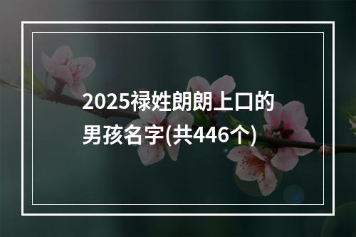 2025禄姓朗朗上口的男孩名字(共446个)