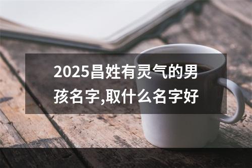 2025昌姓有灵气的男孩名字,取什么名字好