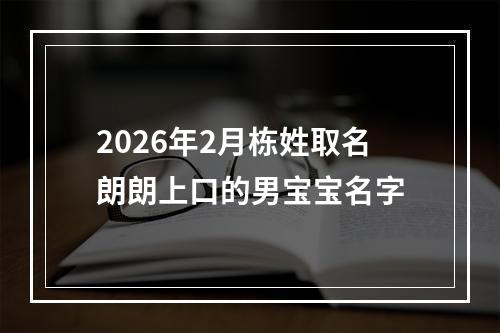 2026年2月栋姓取名朗朗上口的男宝宝名字