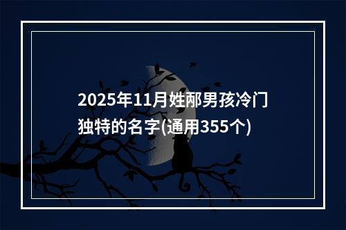 2025年11月姓邴男孩冷门独特的名字(通用355个)