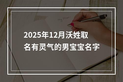 2025年12月沃姓取名有灵气的男宝宝名字