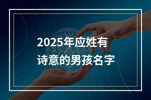 2025年应姓有诗意的男孩名字