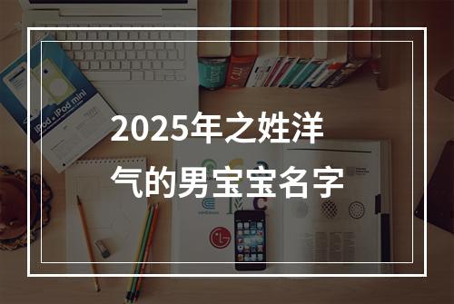 2025年之姓洋气的男宝宝名字
