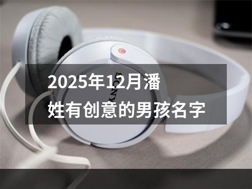 2025年12月潘姓有创意的男孩名字