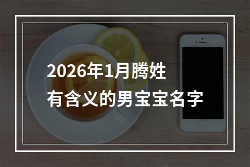 2026年1月腾姓有含义的男宝宝名字