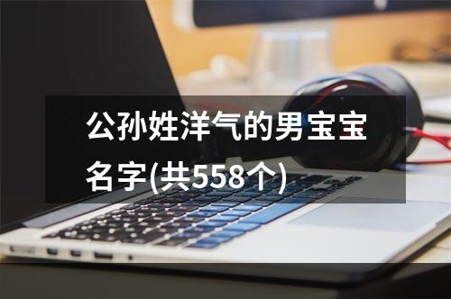 公孙姓洋气的男宝宝名字(共558个)