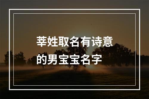 莘姓取名有诗意的男宝宝名字