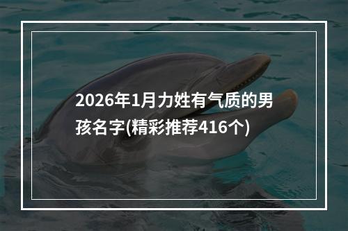 2026年1月力姓有气质的男孩名字(精彩推荐416个)
