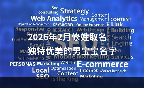 2026年2月修姓取名独特优美的男宝宝名字