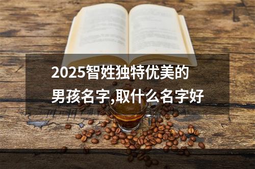2025智姓独特优美的男孩名字,取什么名字好