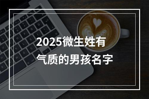 2025微生姓有气质的男孩名字