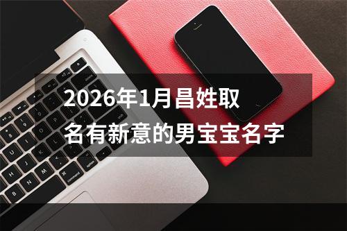 2026年1月昌姓取名有新意的男宝宝名字