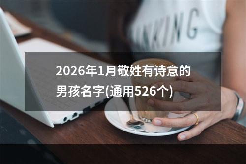 2026年1月敬姓有诗意的男孩名字(通用526个)