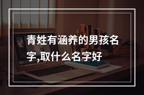 青姓有涵养的男孩名字,取什么名字好