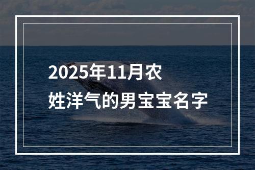 2025年11月农姓洋气的男宝宝名字