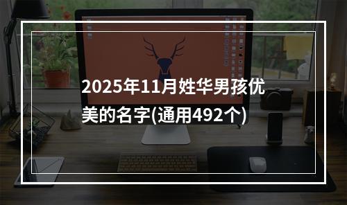 2025年11月姓华男孩优美的名字(通用492个)