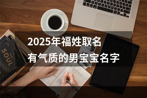 2025年福姓取名有气质的男宝宝名字