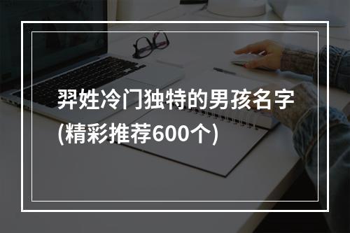 羿姓冷门独特的男孩名字(精彩推荐600个)