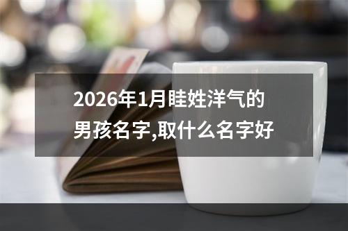 2026年1月眭姓洋气的男孩名字,取什么名字好
