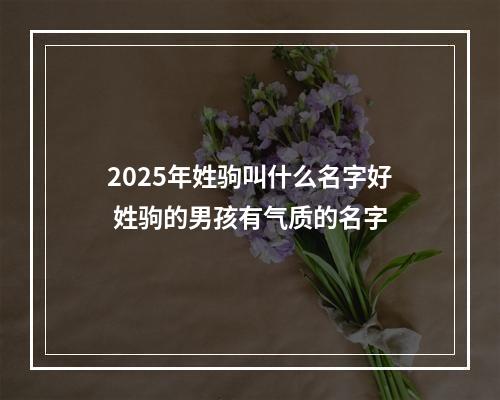 2025年姓驹叫什么名字好 姓驹的男孩有气质的名字
