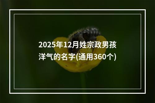 2025年12月姓宗政男孩洋气的名字(通用360个)