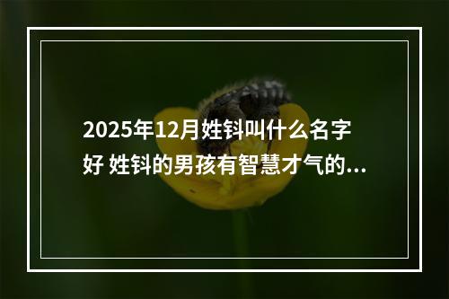 2025年12月姓钭叫什么名字好 姓钭的男孩有智慧才气的名字