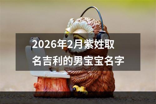 2026年2月紫姓取名吉利的男宝宝名字