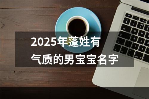 2025年蓬姓有气质的男宝宝名字
