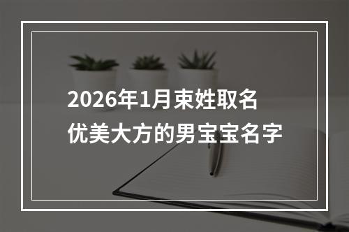 2026年1月束姓取名优美大方的男宝宝名字