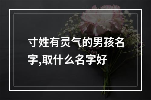 寸姓有灵气的男孩名字,取什么名字好
