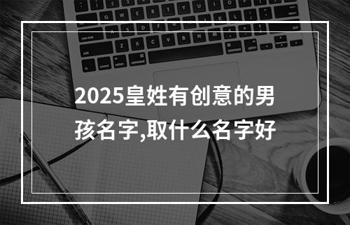 2025皇姓有创意的男孩名字,取什么名字好